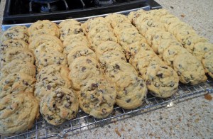 softchocolatechipcookies